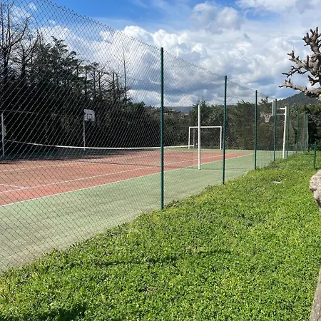 Les Palmiers Grimaud